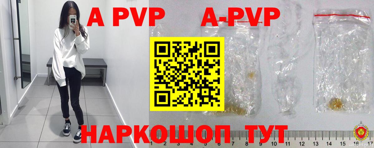 A PVP СК КРИС Нефтекумск