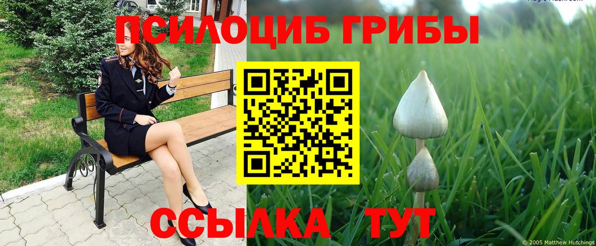 Псилоцибиновые грибы Psilocybe  Псилоцибиновые грибы ЛСД  Нефтекумск  Вход с VPN 